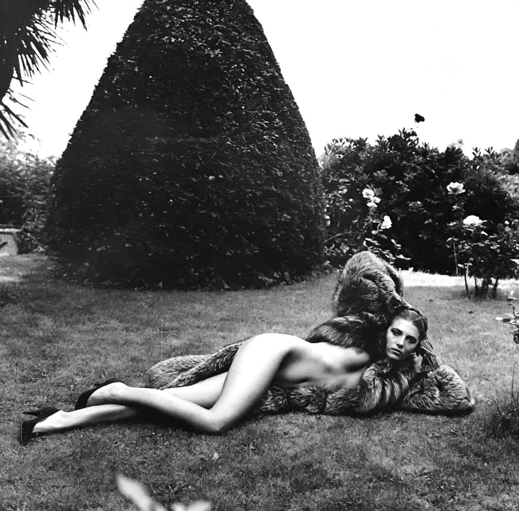 Helmut Newton, Nu en renard argente, Nice (Nude in silver fox coat, reclining in front of a hedge)