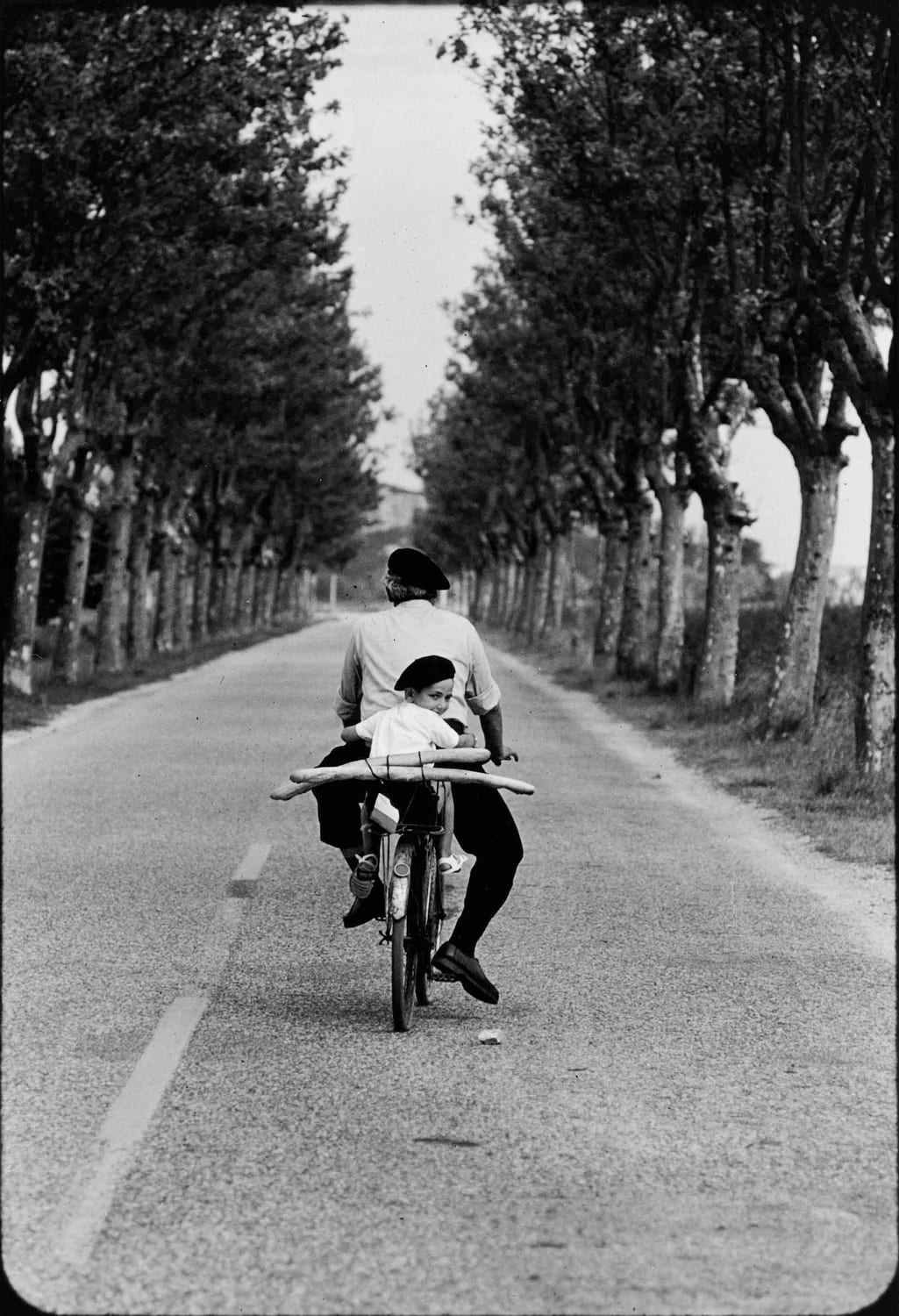 Elliott Erwitt, Provence, France, 1955, Silver Gelatin Photograph