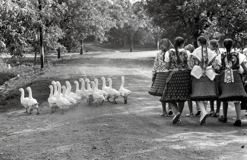 Elliott Erwitt, Hungary, 1964