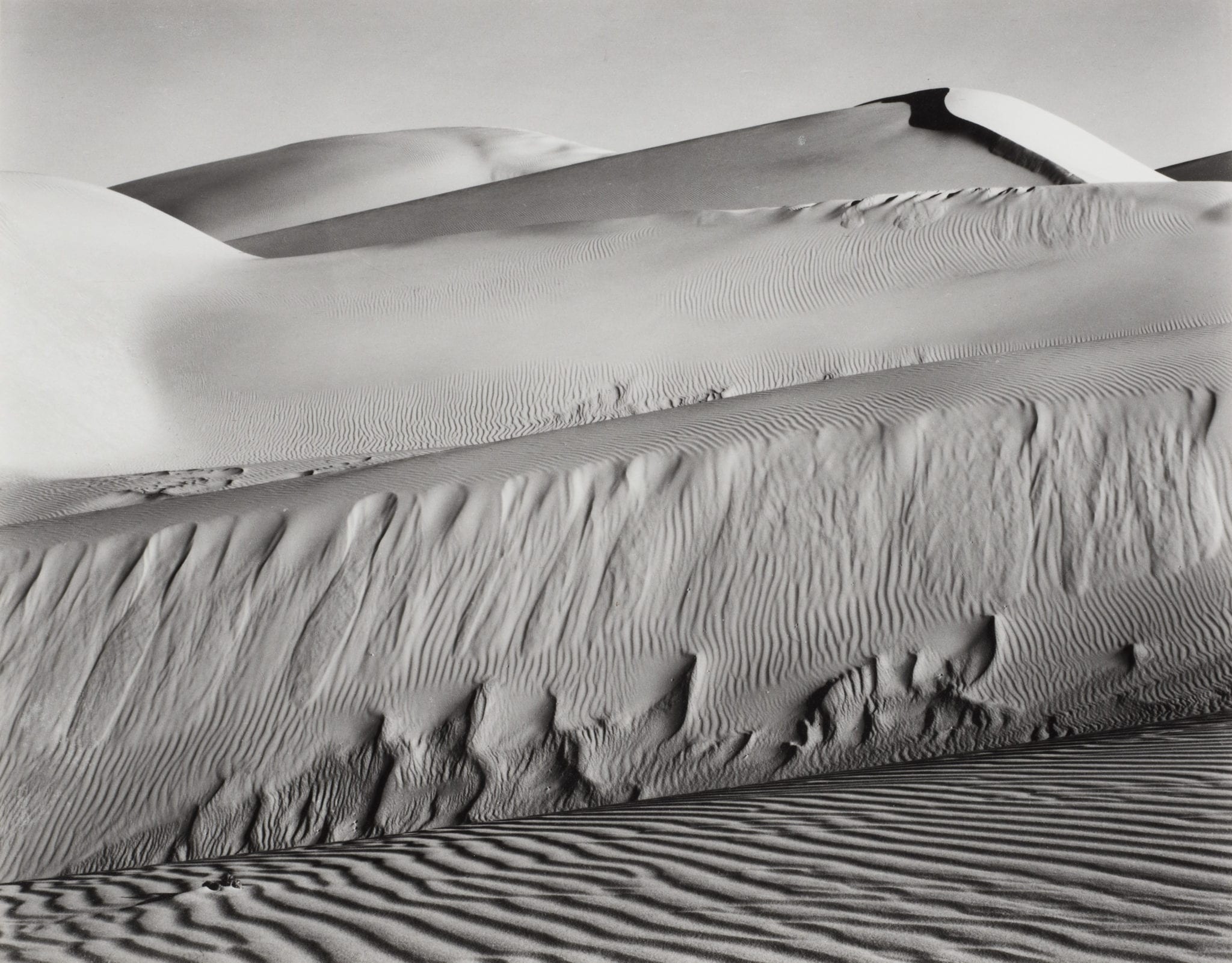 Edward Weston Holden Luntz Gallery