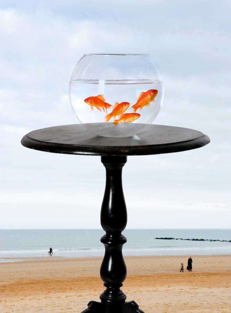 Dimitris Yeros, Untitled, For a Definition of the Nude Series (Goldfishes)