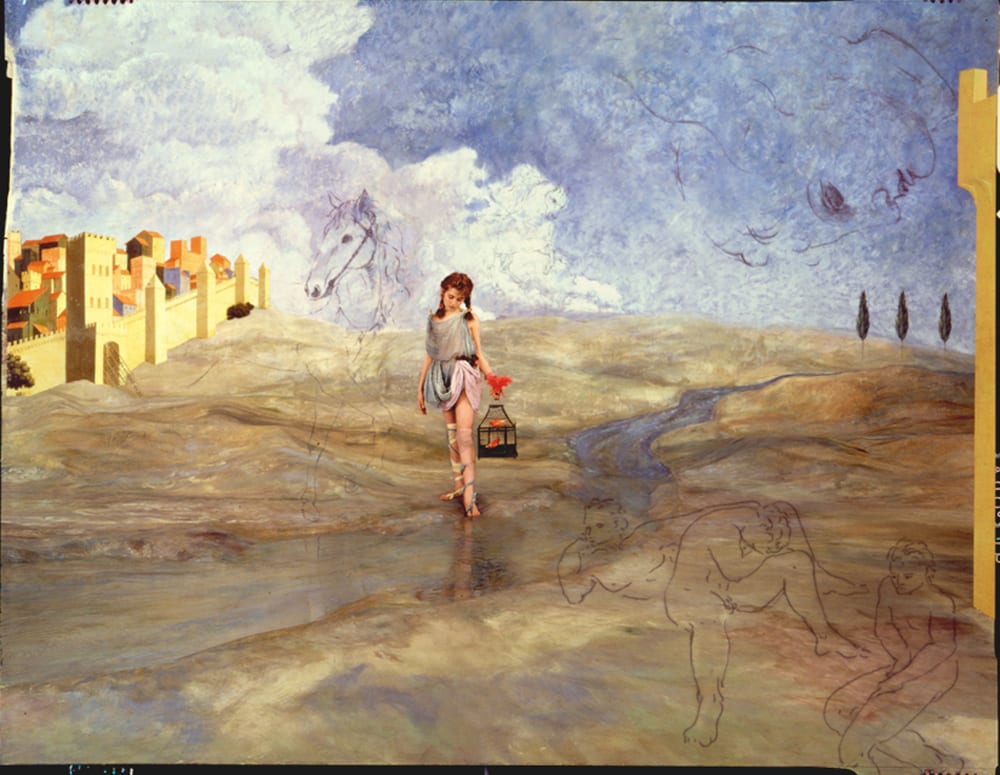 Dianne Blell, The View Beyond, The Circus Animals Desertion Series