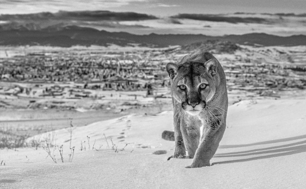 David Yarrow, Frontier Town, Butte, Montana, USA
