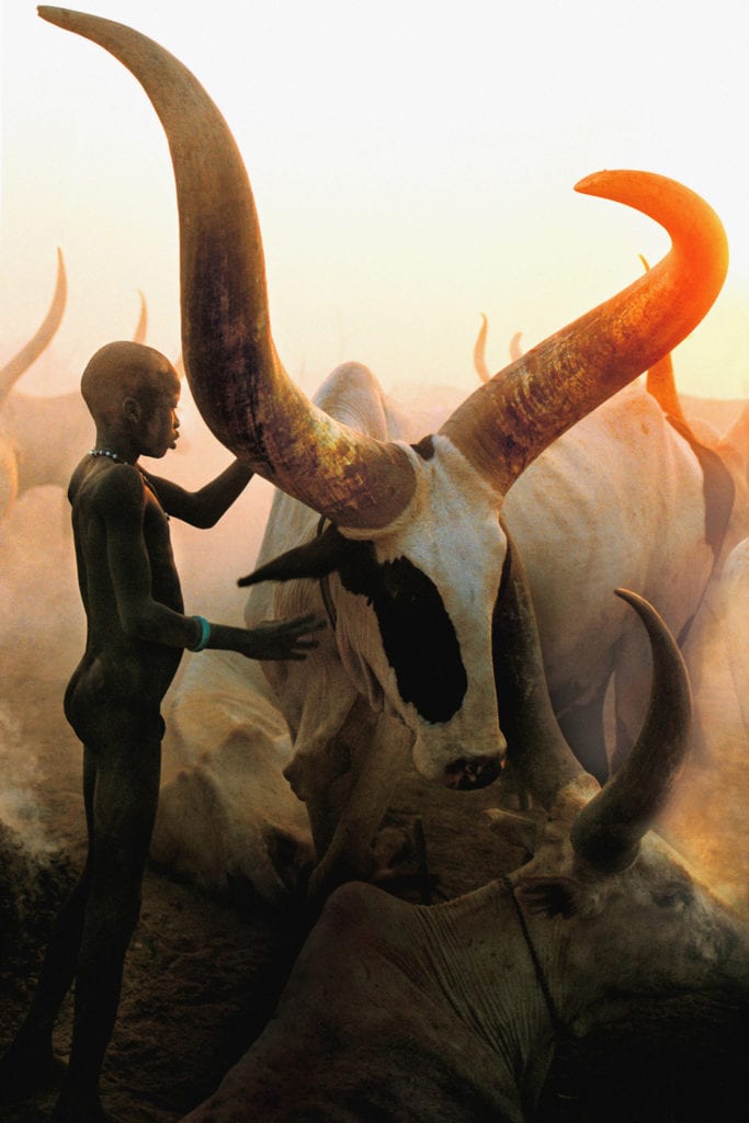 Carol Beckwith & Angela Fisher, Dinka Boy with Long Horned Bull, South Sudan