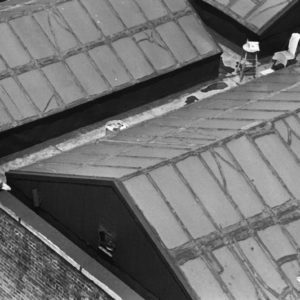 André Kertész, New York Painter on Roof