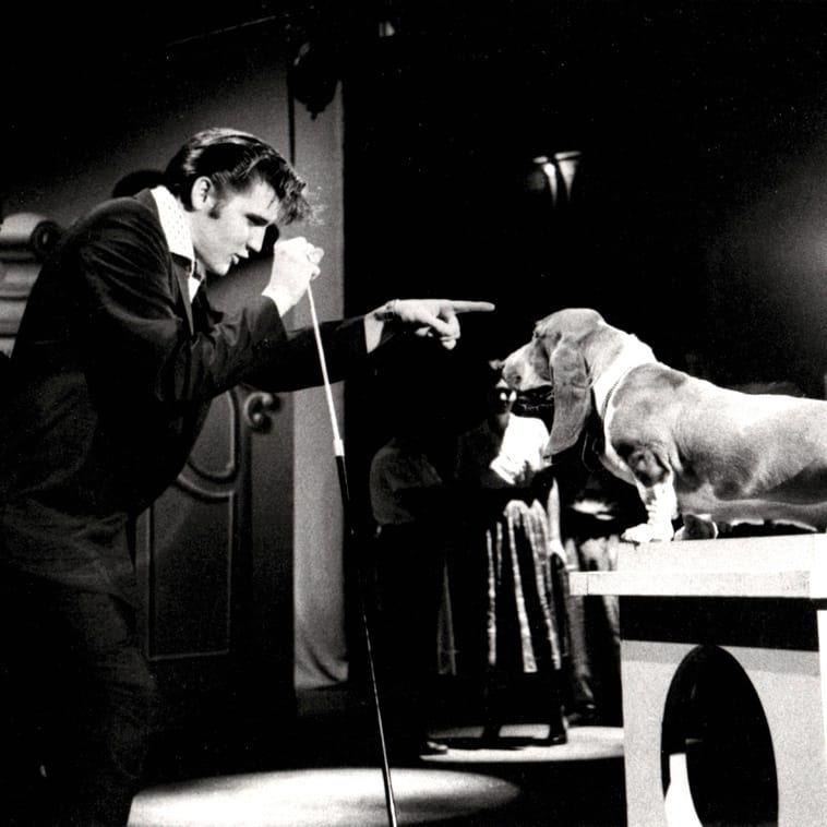 Alfred Wertheimer, Elvis Presley with Hound Dog