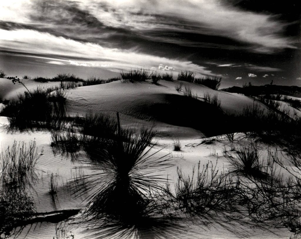 Brett Weston, Dune and Yucca