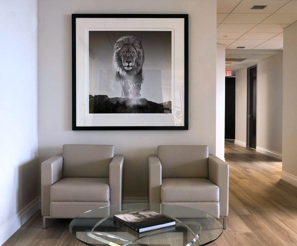 Living With Art Hall Stairways 17