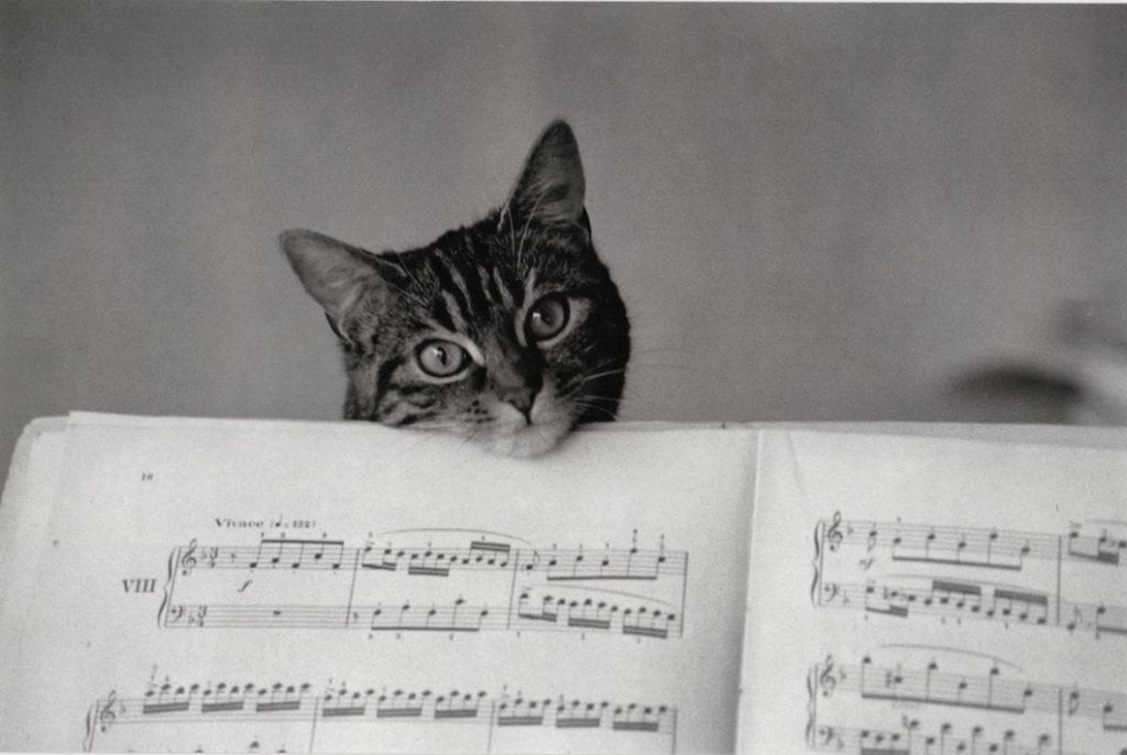 Edouard Boubat, Partition, Paris, 1982