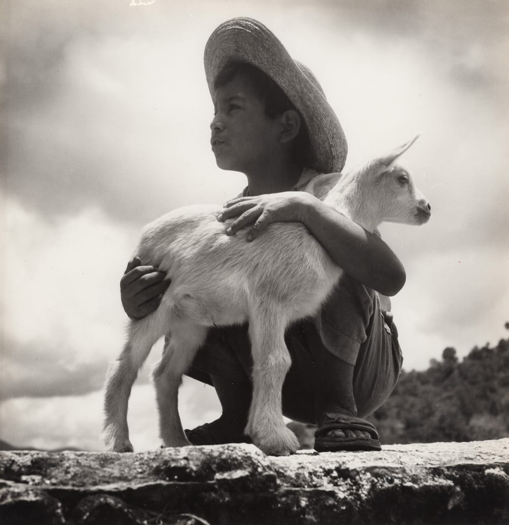 Fritz Henle, Young Sheperd