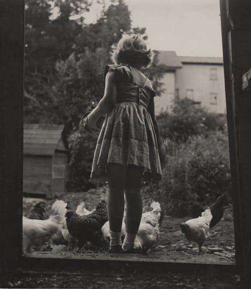 Edward Lettau, Untitled