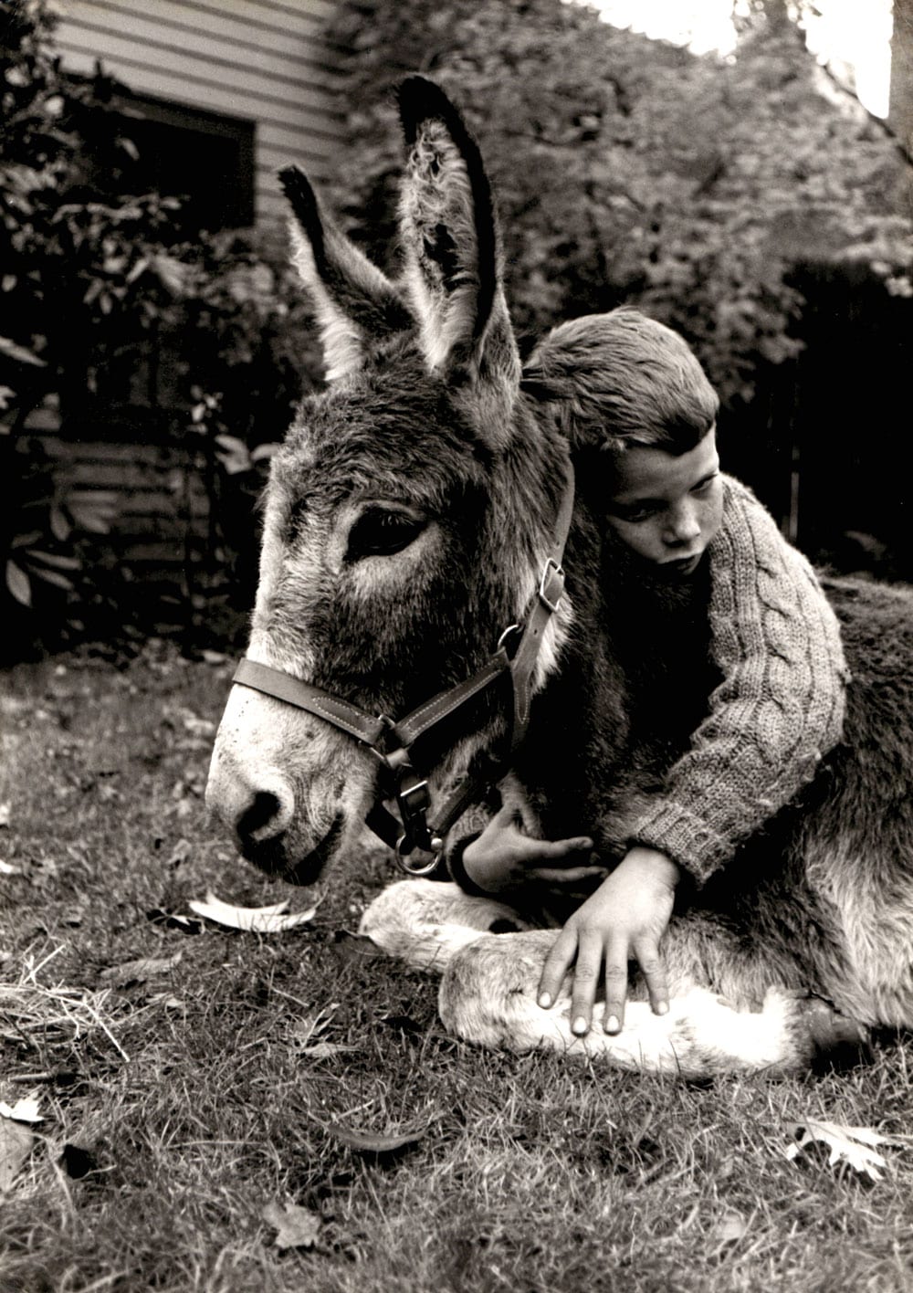 Guy Gilette, Pelham Manor, NY