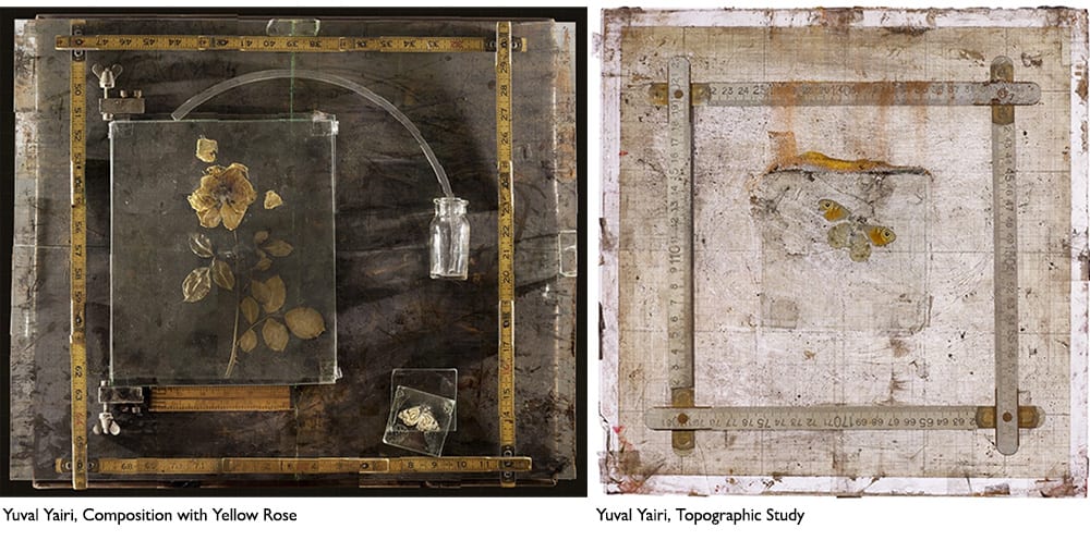 Yuval Yairi, Yellow Rose, Topographic Study