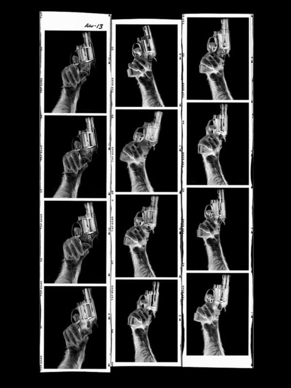 Albert Watson Monkey With Gun Contact New York City 1 1.jpeg