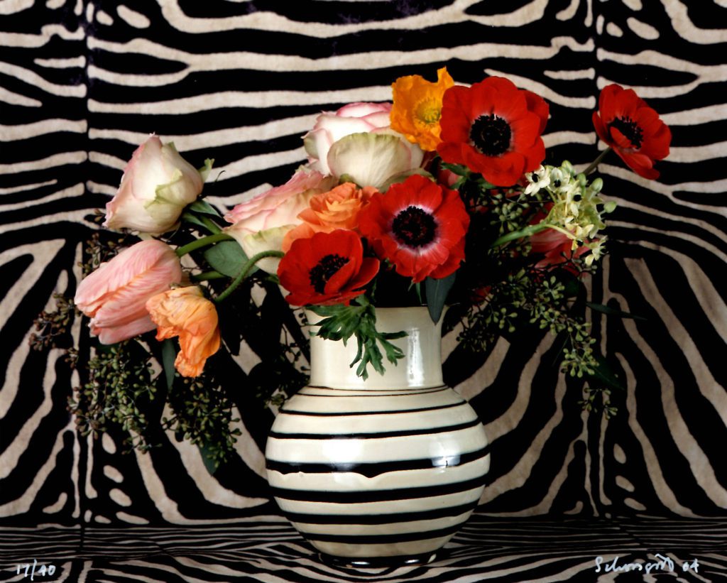 Ben Schonzeit, Zebra Stripe, 2004, Cibachrome Photograph