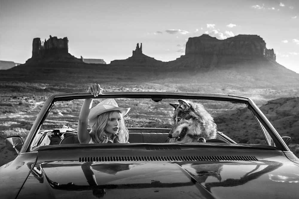 David Yarrow, The Break Up, Utah, USA, 2018, Archival Pigment Photograph