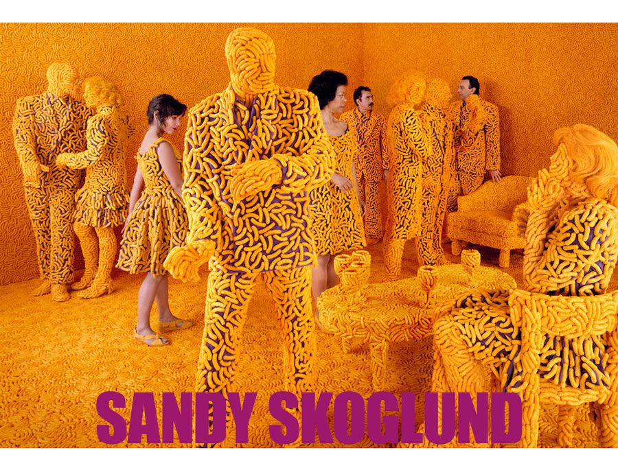 Sandy Skoglund RSVP image