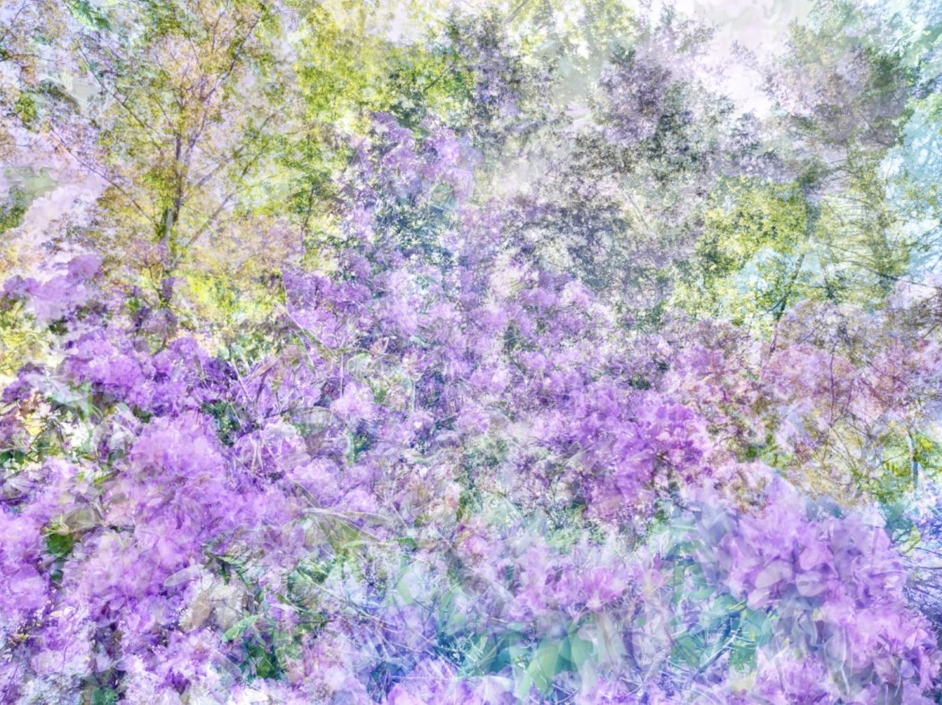 Rhododendron Tapestry Holden Luntz Gallery