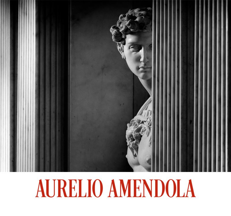 Aurelio Amendola Giuliano De Medici, Michelangelo