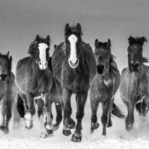 David Yarrow, The Rolling Stones, 2023, Archival pigment photograph