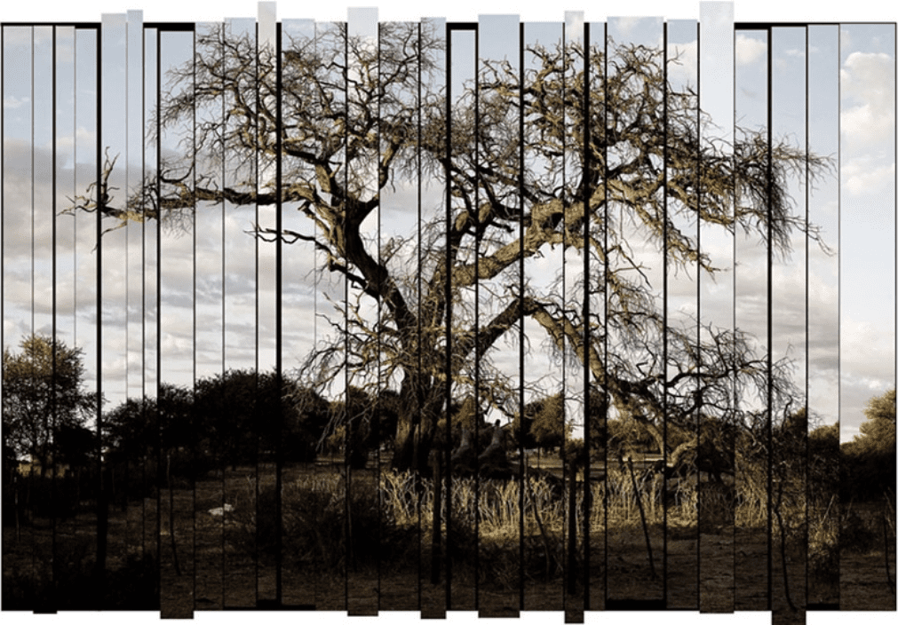 Barry Salzman, In The Company Of Strangers, Ngauzepo, Otjinene, Namibia, 2023, , Archval Giclée Print on Hahnemuhle Photo Rag