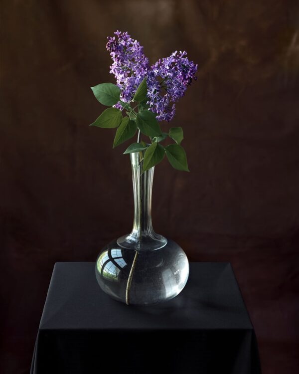 Tom Baril, Lilac