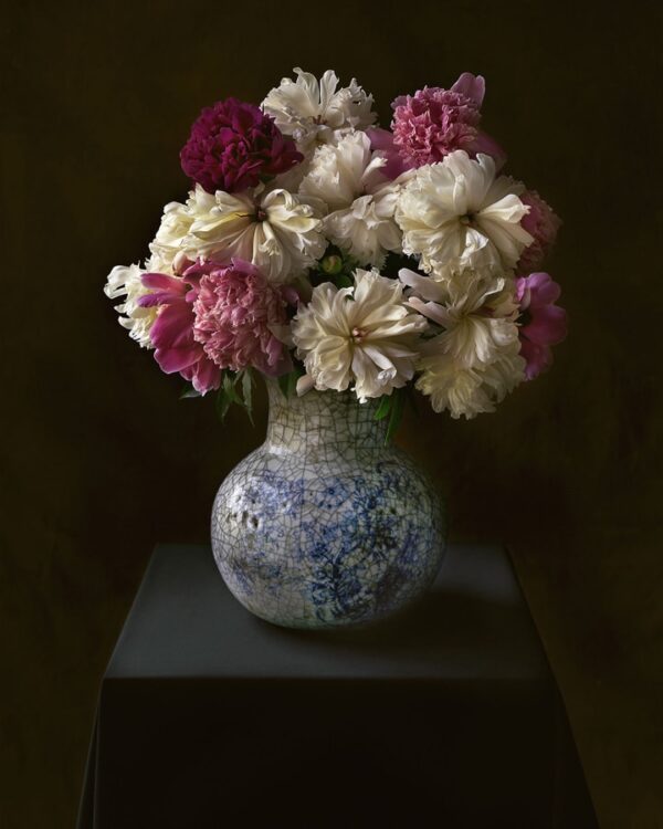 Tom Baril, Peonies