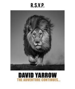David Yarrow Locked and Loaded
