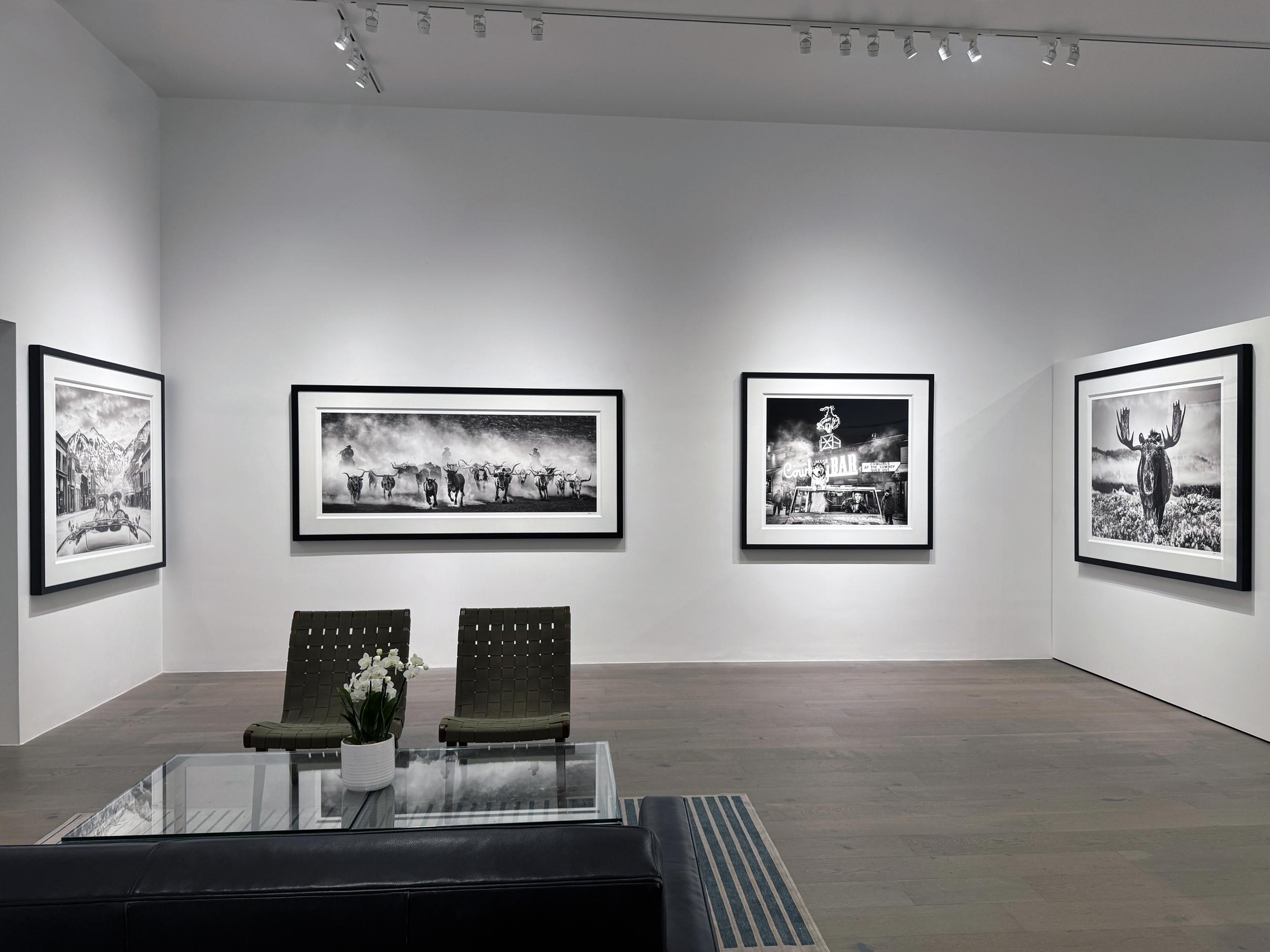 White Chicks, Lonesome Dove, The Million Dollar Cowboy Bar, The Winter Season White Chicks, Lonesome Dove, The Million Dollar Cowboy Bar, The Winter Season