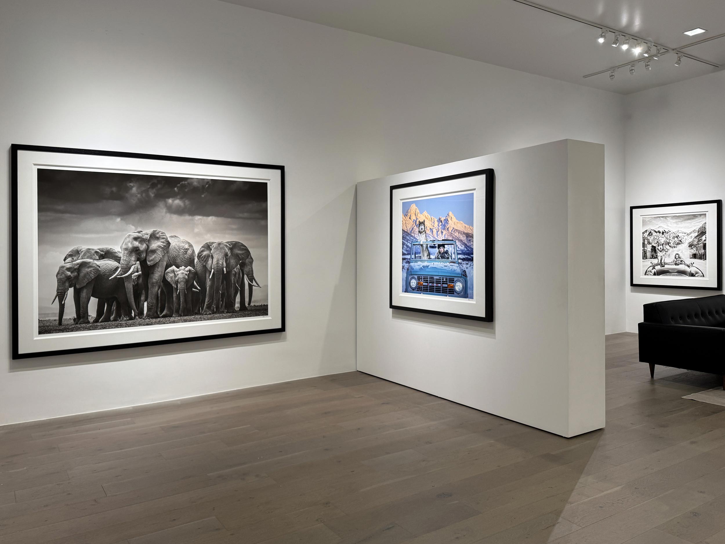 David Yarrow, Lonesome Dove, 2024, Archival Pigment Photograph David Yarrow, Lonesome Dove, 2024, Archival Pigment Photograph