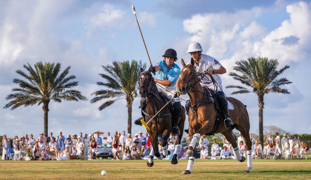 David Yarrow, Wellington (Colour), 2025, Archival Pigment Photograph