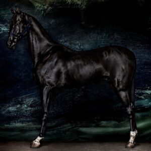 Mario Testino, Horses (I), Urtasaray, Uzbekistan, 2023, Digitally produced supergloss C-type print