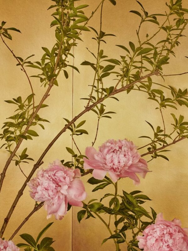 Mario Testino, Tokyo, 2019, Digitally produced supergloss C-type print Mario Testino, Tokyo, 2019, Digitally produced supergloss C-type print