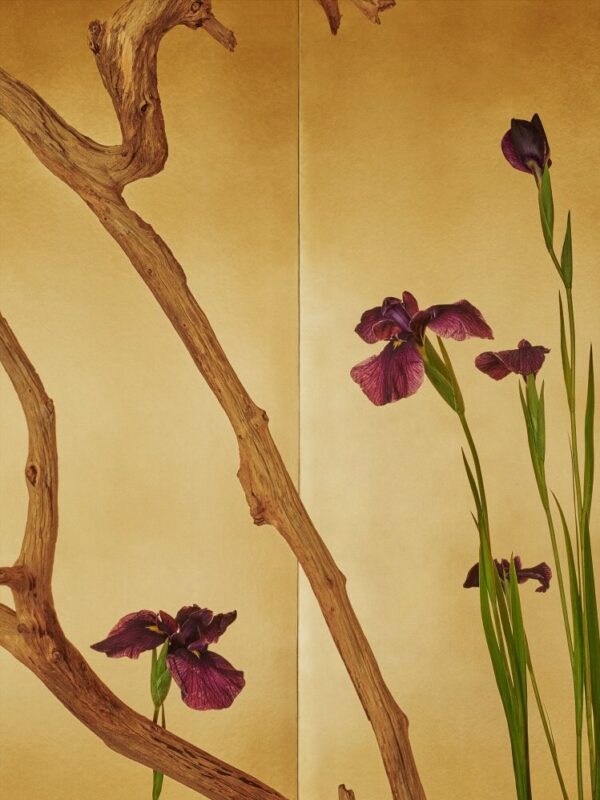 Mario Testino, Tokyo, 2019, Digitally produced supergloss C-type print