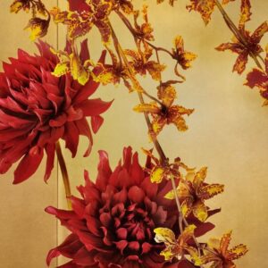 Mario Testino, Tokyo, 2019, Digitally produced supergloss C-type print