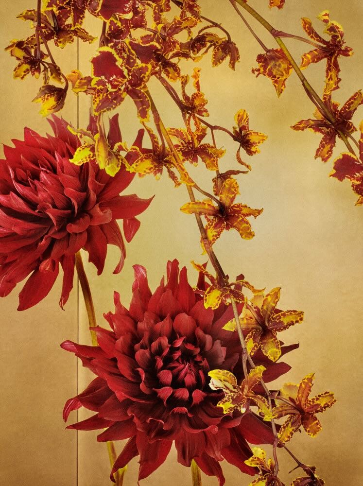 Mario Testino, Tokyo, 2019, Digitally produced supergloss C-type print