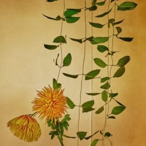 Mario Testino, Tokyo, 2018, Digitally produced supergloss C-type print