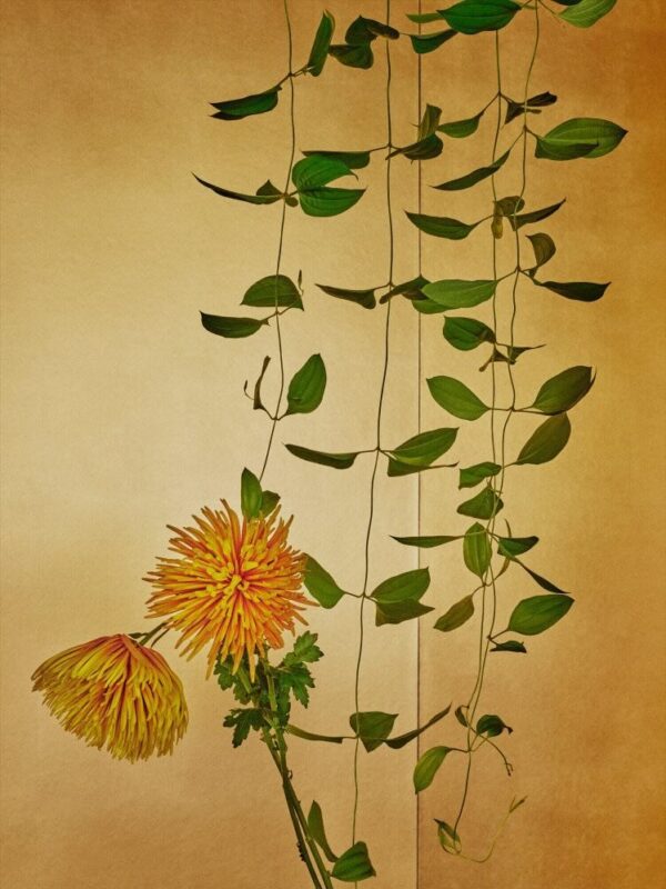 Mario Testino, Tokyo, 2018, Digitally produced supergloss C-type print Mario Testino, Tokyo, 2018, Digitally produced supergloss C-type print