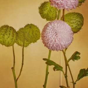 Mario Testino, Tokyo, 2018, Digitally produced supergloss C-type print