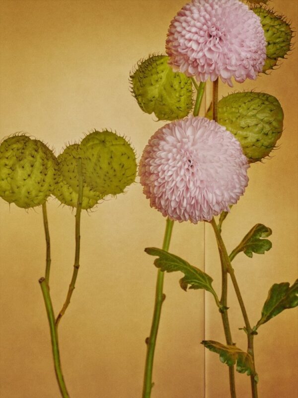 Mario Testino, Tokyo, 2018, Digitally produced supergloss C-type print