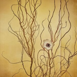 Mario Testino, Tokyo, 2018, Digitally produced supergloss C-type print