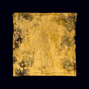 Jean-Baptiste Huynh, Plaque (LOUVRE)