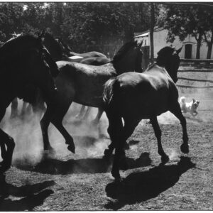 Elliott Erwitt, Argentina, 1972, Silver Gelatin Photograph