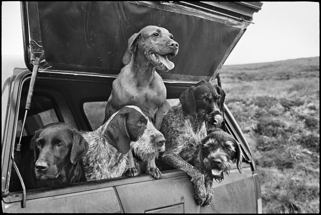 Elliott Erwitt, Scotland, Inverness, 2011, Silver Gelatin Photograph