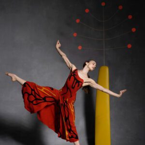 Ken Browar and Deborah Ory, Anne Souder, Dark Meadow, 2025, Archival pigment photograph