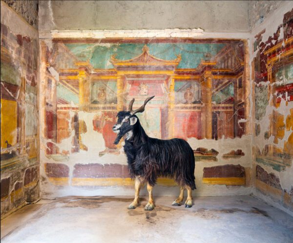 Karen Knorr, Syrnx’s Suitor, Villa Oplontis, Torre Annunziata