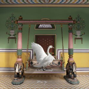Karen Knorr, Saraswati’s Landing, Narain Niswas, Jaipur