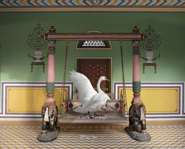 Karen Knorr, Saraswati’s Landing, Narain Niswas, Jaipur