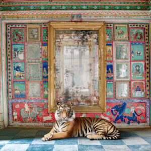 Karen Knorr, The Protector, Junha Mahal, Dungarpur