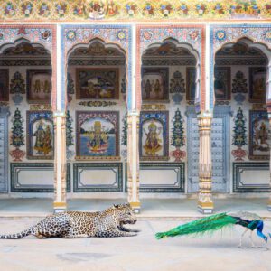 Karen Knorr, The Waiting Game, Poddar Haveli, Nawalgarh